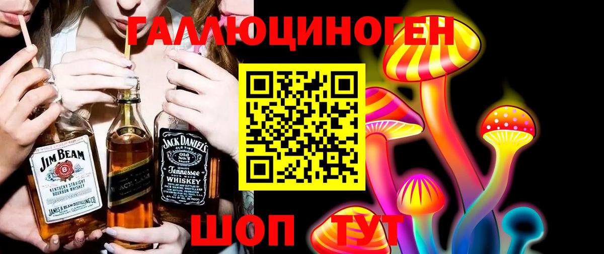 Богородск  Галлюциногенные грибы прущие грибы  Вход с VPN 