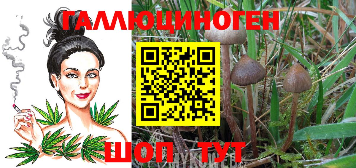 Галлюциногенные грибы мухоморы Богородск